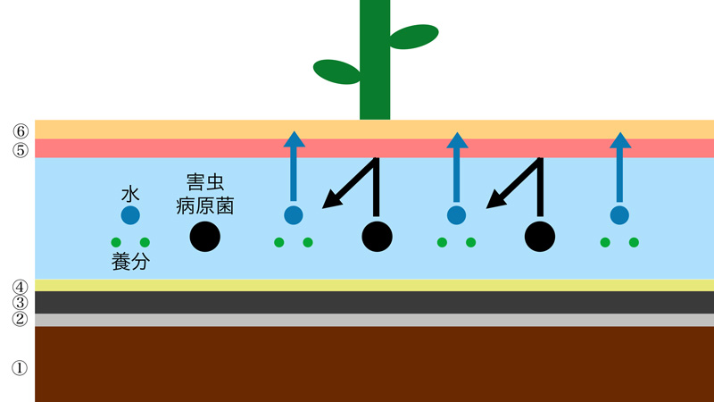 アイメック農法の仕組み